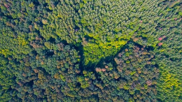 XIAOMI MI DRONE 4K "Родная деревня" смотреть онлайн