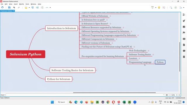 Getting started with Python for Selenium (Selenium Python) смотреть онлайн