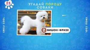 УГАДАЙ ПОРОДУ СОБАКИ ПО ФОТО 🤔❓🐶 ⧸ EMOJI COOL 😎