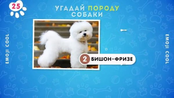 УГАДАЙ ПОРОДУ СОБАКИ ПО ФОТО 🤔❓🐶 ⧸ EMOJI COOL 😎