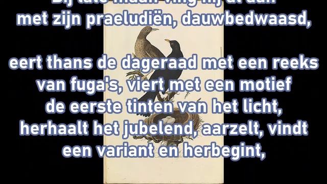 MUSISCH 1, gedicht van Ida Gerhardt (1905-1997) смотреть онлайн