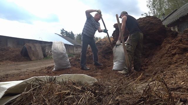 Был ювелиром, стал золотарём! Мой заработок на навозе ! смотреть онлайн