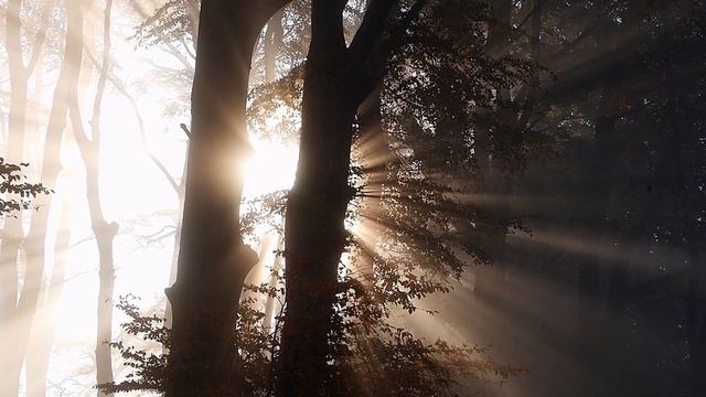 Ирина Вовк - ПОСЛЕВКУСИЕ - читает Ирина Вовк смотреть онлайн