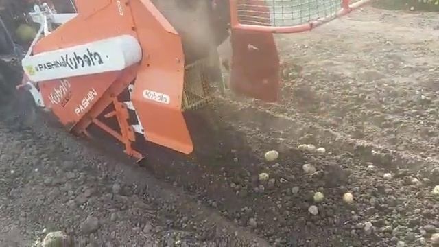 Уборка картофеля копалкой PASHIN. смотреть онлайн