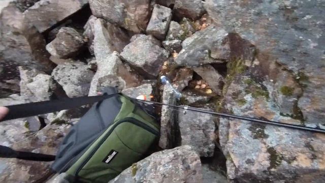 Ловля щуки на ЖИВЦА! Рыбалка на поплавок в октябре. РЫБАЛКА НА ОСЕННЕГО НАЛИМА РЫБАЛКА 2021 смотреть онлайн