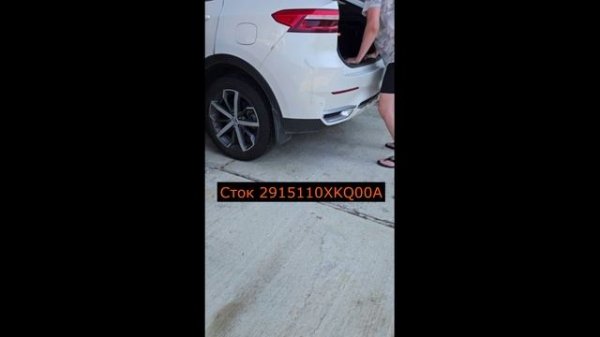 Амо F7 2915110XKQ00A и Zekkert SG-6896