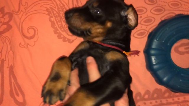 THIS IS LOVE смотреть онлайн