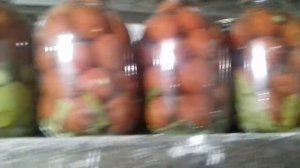 Организация подвального помещения.