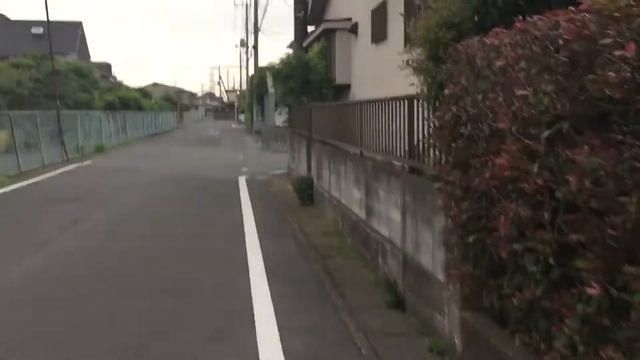 Какие соц.сети и приложения используют японцы