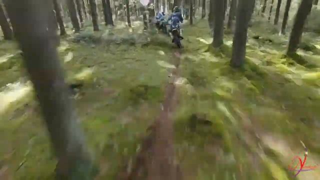 Гуны в практике жизни современного человека (8 Кханда 11 Анга)