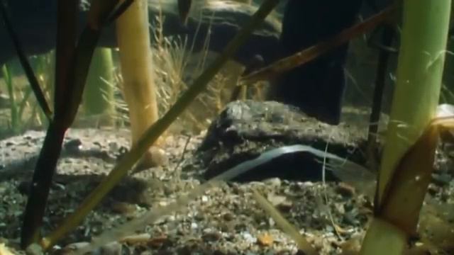 Каспийское море смотреть онлайн