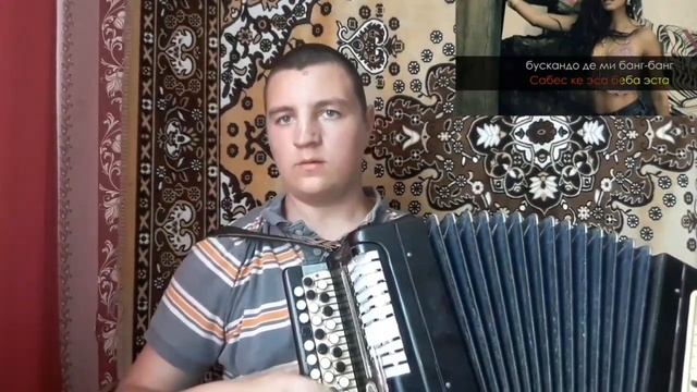 DESPACITO на баяне