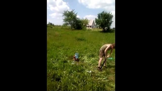 Весёлое развлечение летом смотреть онлайн
