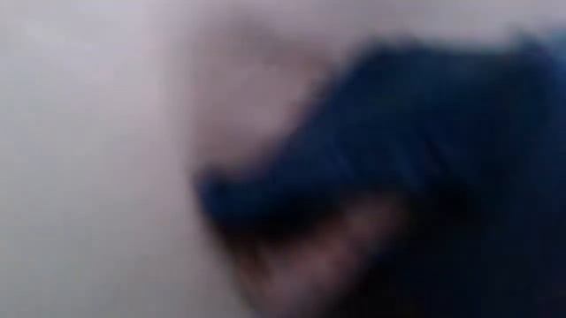 Домостроение Pro