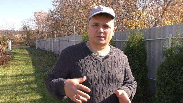 Осеннее цветение примулы- примула цветёт круглый год! смотреть онлайн