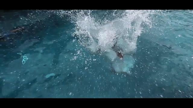 Last to LEAVE the POOL! Escape the TEENAGE LIFEGUARD! смотреть онлайн