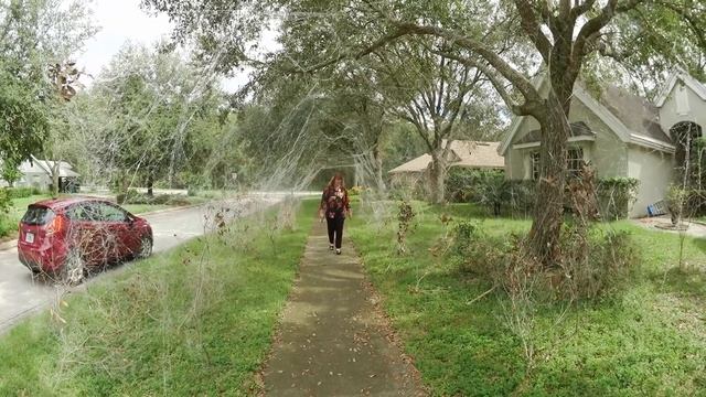 (1324) ЧЕЛОВЕК - ПАУК, ПЛЁЛ ПАУТИНУ ВЕСЬ МЕСЯЦ . смотреть онлайн