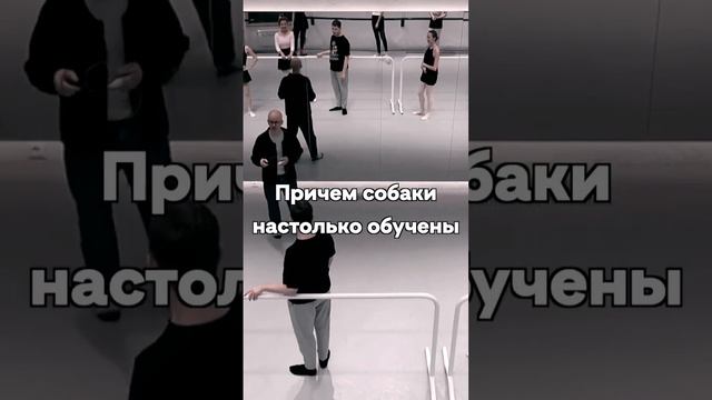 Пол в русской балетной школе смотреть онлайн