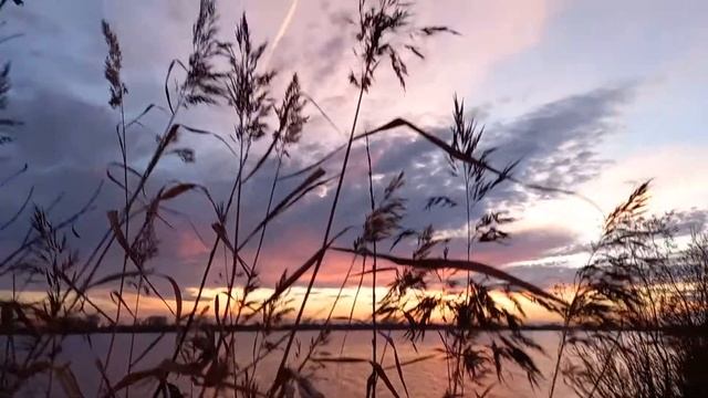 Дыхание Ветра и шелест травы смотреть онлайн