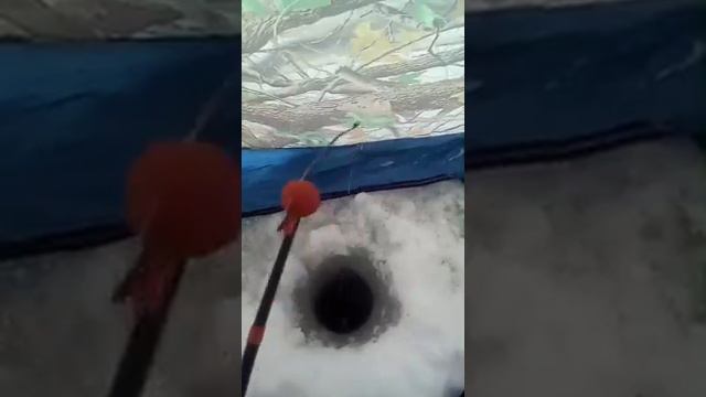 речка Иня смотреть онлайн