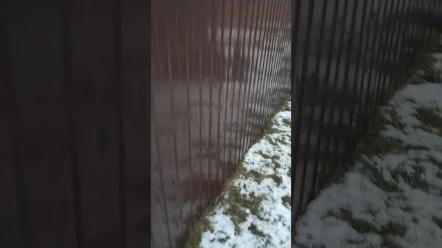 Подрядчики Повредили забор Старый Оскол , Жесть. смотреть онлайн