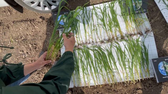 Программа "Защита" (ч.2) смотреть онлайн