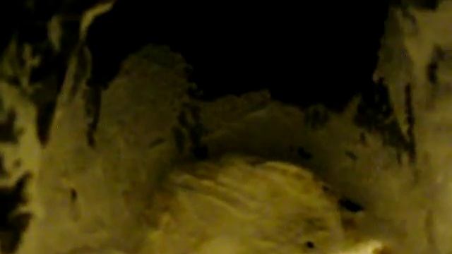 Чистка дымохода газовой колонки смотреть онлайн