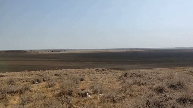 Извилисьая река САЛ Природа Ростовской Области I КРАСОТЫ РОСТОВА I смотреть онлайн