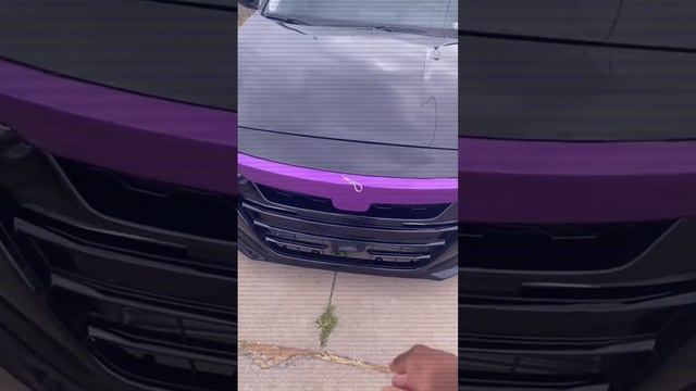 Sshhhh it’s a secret ? 2018 Honda Accord ex смотреть онлайн