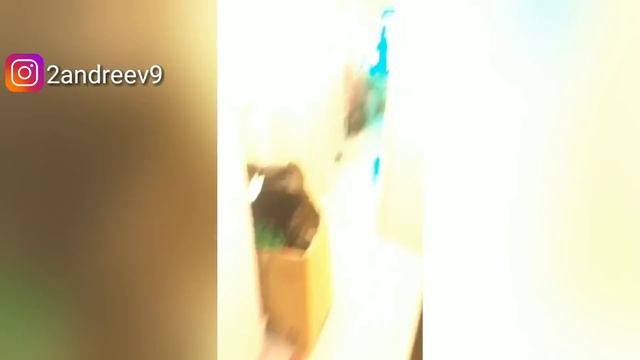 Пандафх Фх наехал на Санюфифа // Ставр перекрасить волосы