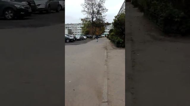 Красоты Фряново смотреть онлайн