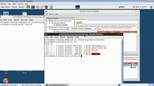 Applying Patch in Weblogic using bsu utility in Linux смотреть онлайн
