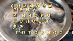 УХА  ИЗ ГОЛОВЫ  КАРПА, УХА ИЗ РЫБНЫХ ГОЛОВ, УХА ПО-ДОМАШНЕМУ. СУП ИЗ РЫБЫ. ВКУСНЫЙ РЕЦЕПТ. fish sou