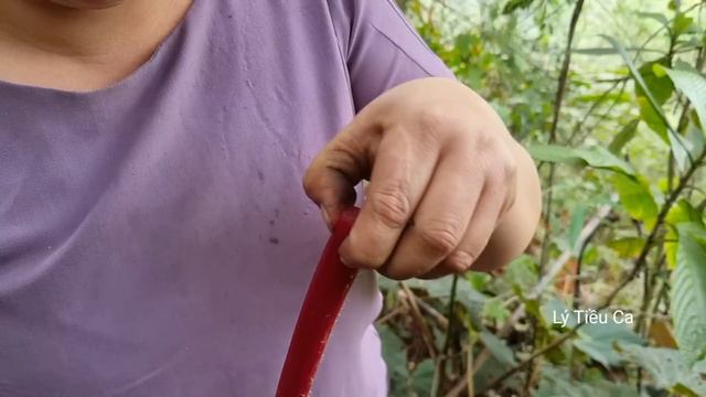 53 days a 19-year-old single mother and her daughter went to the forest to pick vegetables смотреть онлайн