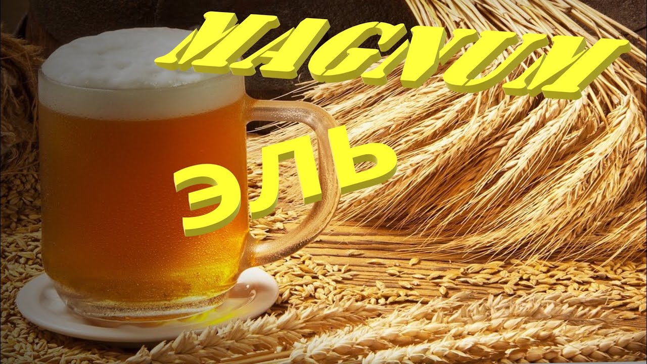 Пиво MAGNUM ЭЛЬ домашнее.mp4