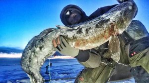 ПОЙМАЛ НЕ УНЕСТИ! ЭТИ ДИНОЗАВРЫ НЕ ЛЕЗУТ В ЛУНКУ! ЯКУТИЯ день 6