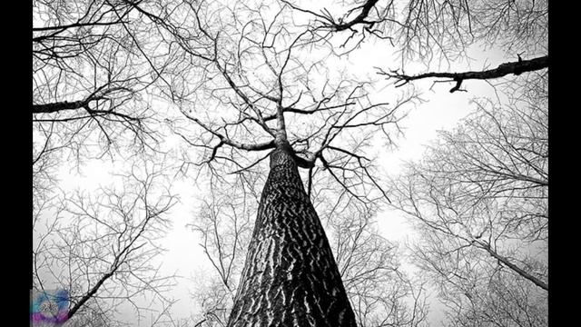 EYES ON FIRE-Blue Foundation (one hour loop ver. plus images to feed your imagination) смотреть онлайн