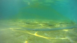 Кастинговая сеть капрон или леска? какая быстрее тонет? проверяем с камерой под водой!