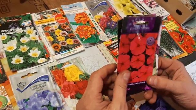 ПОСЕЙТЕ ЭТИ ЦВЕТЫ В ДЕКАБРЕ и они зацветут в мае ВСЕГДА ВЫРАЩИВАЮ эти шикарные цветы для сада смотреть онлайн