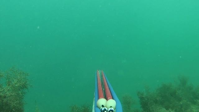 Подводная охота в г. Севастополе 23.11.2013г. смотреть онлайн