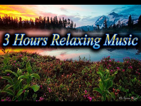 Relaxing Music, Sleeping Music 3 Hours Of Beautiful Piano Music  Sleep Music