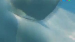 Лесная Книга - Серия 4