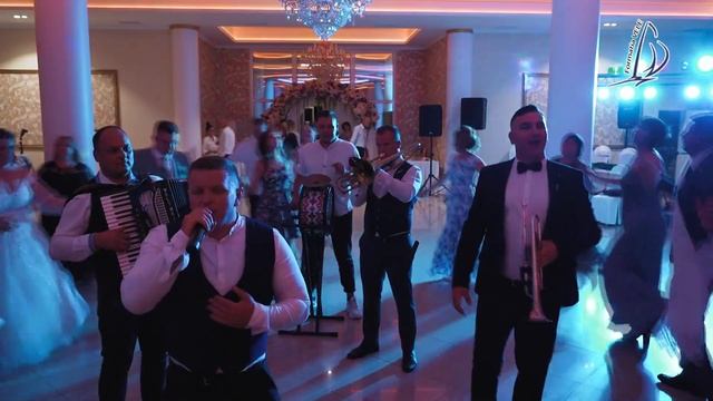 Музыканты на свадьбу. Nunti și petreceri - 068274655 @Sparivak_Ivan #группаПарусник .Живая музыка смотреть онлайн