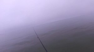 Ловим лосося на балтийском море !