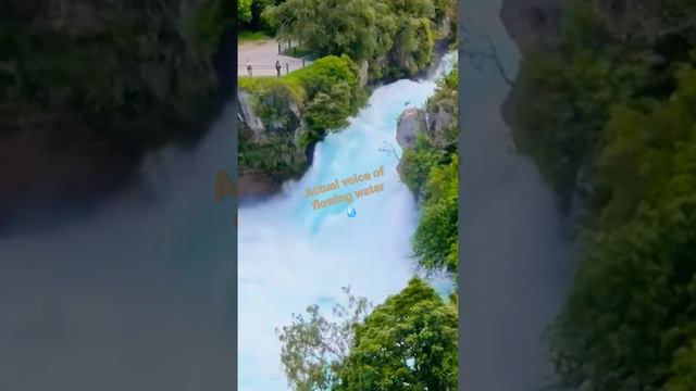 Fresh water source in nz#actual voice of fast flowing 💧 🚰 water #short #youtube #nz смотреть онлайн