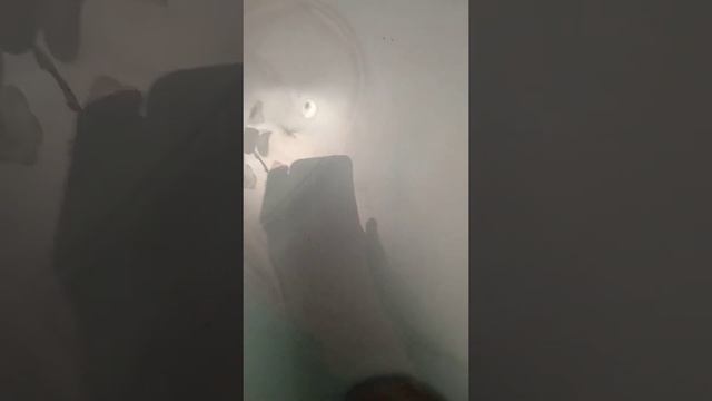 мои находки Москве нашел машинки для стрижки волос. роутер серебро . ювелирные весы смотреть онлайн