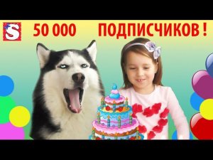 СОФИЯ и Сибирская хаски  ФРЭНК 50 000 подписчиков на канале Маленькая мисс София