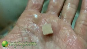 Нарезка мяса кубиками Vega Meat Dicer 400