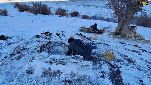 Surviving The Snowstorm: Faith Of The Mother And The Orphan 