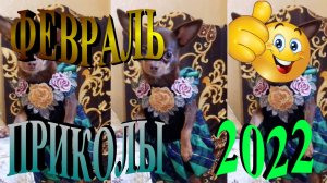 ПРИКОЛЫ 2022 САМЫЕ НОВЫЕ!!!!СМОТРЕТЬ ПРИКОЛЫ 2022!!!#3.mp4